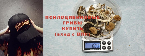 дживик Алексин