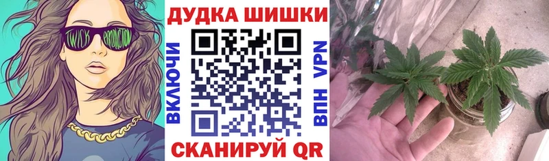 Бошки Шишки ГИДРОПОН  МЕГА сайт  Стародуб 